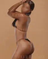 Bolero